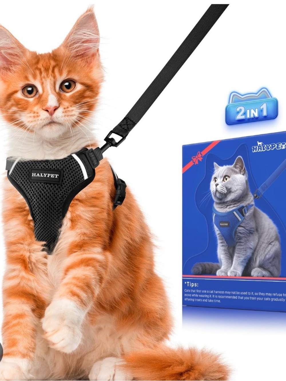 Black Mesh Cat Harness with Matching Leash